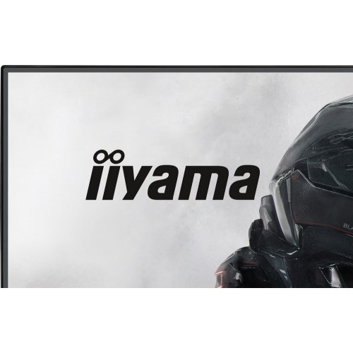 Монитор Iiyama 23.8" G-Master GB2441HSU-B1 Black купить в Украине: Киев, Днепр, Харьков, Одесса  | Низкая цена, отзывы, характеристики от TELEMART фото