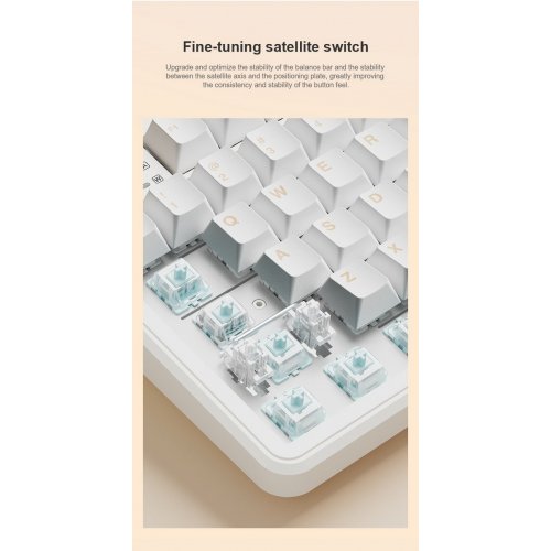 Клавіатура AULA F108 Pro Gasket Reaper Switch Wireless (6978080501295) Black купити в Україні: Київ, Львів, Хмельницький, Тернопіль | Низька ціна, відгуки, характеристики від TELEMART фото