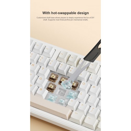 Клавіатура AULA F108 Pro Gasket Reaper Switch Wireless (6978080501295) Black купити в Україні: Київ, Львів, Хмельницький, Тернопіль | Низька ціна, відгуки, характеристики від TELEMART фото