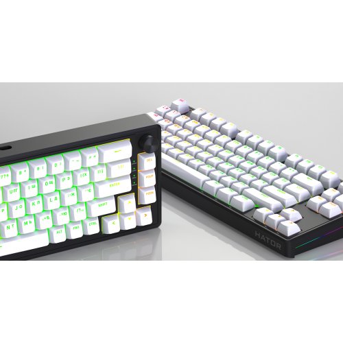Клавіатура HATOR Skyfall 65 MAG Ultra 8K Aurum Ice Wireless (HTK1860UA) Black/White купити в Україні: Київ, Львів, Хмельницький, Тернопіль | Низька ціна, відгуки, характеристики від TELEMART фото