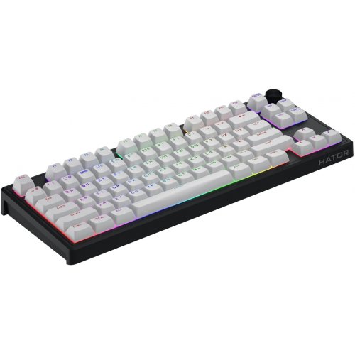 Клавиатура HATOR Skyfall 80 MAG Ultra 8K Aurum Ice Wireless (HTK1880UA) Black/White купить в Украине: Киев, Днепр, Харьков, Одесса  | Низкая цена, отзывы, характеристики от TELEMART фото