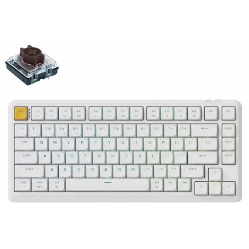 Клавіатура Keychron J1 82 Key RGB Hot-Swap Brown Switch (J1-Q3-UA) White купити в Україні: Київ, Львів, Хмельницький, Тернопіль, Івано-Франківськ | Низька ціна, відгуки, характеристики від TELEMART фото