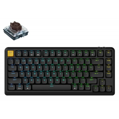 Клавіатура Keychron J1 82 Key RGB Hot-Swap Brown Switch (J1-H3-UA) Black купити в Україні: Київ, Львів, Хмельницький, Тернопіль, Івано-Франківськ | Низька ціна, відгуки, характеристики від TELEMART фото