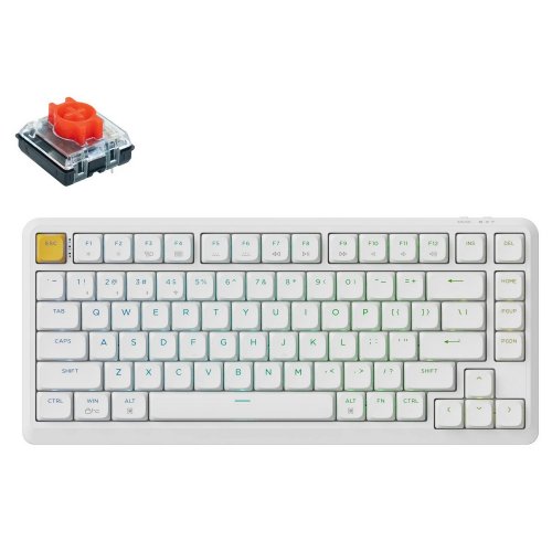 Клавіатура Keychron J1 82 Key RGB Hot-Swap Red Switch (J1-Q1-UA) White купити в Україні: Київ, Львів, Хмельницький, Тернопіль, Івано-Франківськ | Низька ціна, відгуки, характеристики від TELEMART фото