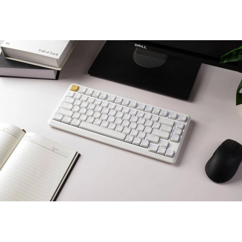 Клавіатура Keychron J1 82 Key RGB Hot-Swap Red Switch (J1-Q1-UA) White купити в Україні: Київ, Львів, Хмельницький, Тернопіль, Івано-Франківськ | Низька ціна, відгуки, характеристики від TELEMART фото