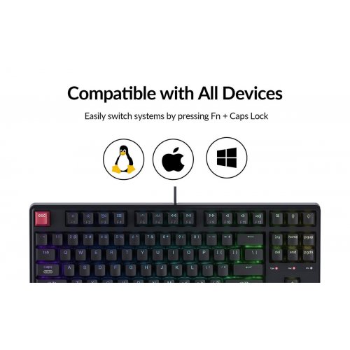 Клавіатура Keychron C3 Pro V2 87 Key RGB Hot-Swap Keychron Super Brown Switch (C3PX-H3-UA) Black купити в Україні: Київ, Львів, Хмельницький, Тернопіль, Івано-Франківськ | Низька ціна, відгуки, характеристики від TELEMART фото