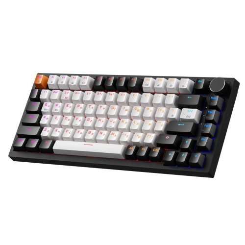 Клавиатура GamePro Asgard Valhalla Max MK160 Max Magnetic Swithes Black купить в Украине: Киев, Днепр, Харьков, Одесса  | Низкая цена, отзывы, характеристики от TELEMART фото