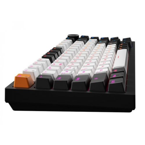 Клавиатура GamePro Asgard Valhalla Max MK160 Max Magnetic Swithes Black купить в Украине: Киев, Днепр, Харьков, Одесса  | Низкая цена, отзывы, характеристики от TELEMART фото