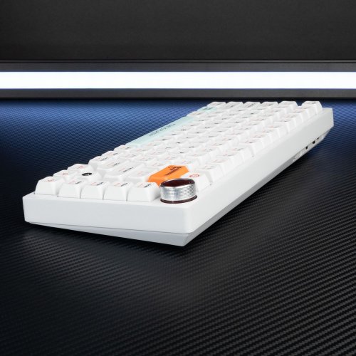 Клавиатура кастомная TYPEVIBE 82 Key Silent (AS-ALWHT82-GZDS-WHXDA-M) White купить в Украине: Киев, Днепр, Харьков, Одесса  | Низкая цена, отзывы, характеристики от TELEMART фото