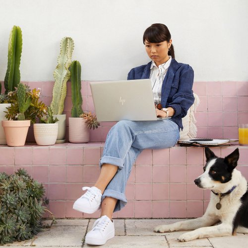 Ноутбук HP EliteBook 650 G9 (822G7AA) Silver купить в Украине: Киев, Днепр, Харьков, Одесса  | Низкая цена, отзывы, характеристики от TELEMART фото