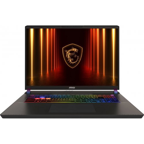 Ноутбук MSI Vector 17 HX AI (A2XWHG-044XUA) Cosmos Gray купити в Україні: Київ, Львів, Хмельницький, Тернопіль, Івано-Франківськ | Низька ціна, відгуки, характеристики від TELEMART фото