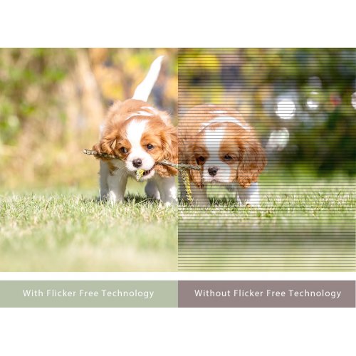 Монитор Asus 27" VY279HGR (90LM06D3-B02171) Black купить в Украине: Киев, Днепр, Харьков, Одесса  | Низкая цена, отзывы, характеристики от TELEMART фото