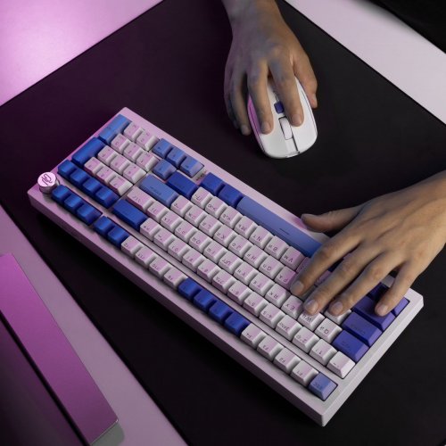 Клавіатура Proove Gaming Slicker Special Edition RGB Huano Kobe Wireless (WKSLSE022416) White/Purple купити в Україні: Київ, Львів, Хмельницький, Тернопіль, Івано-Франківськ | Низька ціна, відгуки, характеристики від TELEMART фото