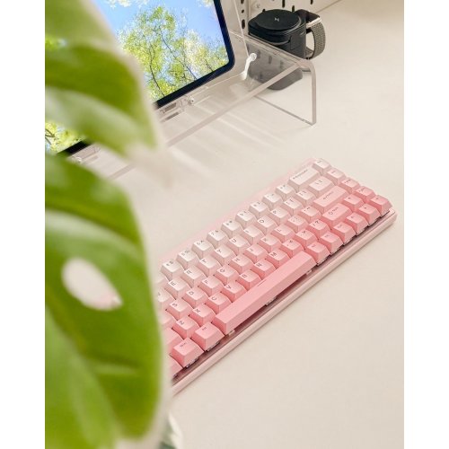 Клавиатура MCHOSE Ace 68 Air RGB Kailh Magnetic God Switch (MC-ACE68AIR-8-UA) Peach Gradient купить в Украине: Киев, Днепр, Харьков, Одесса  | Низкая цена, отзывы, характеристики от TELEMART фото