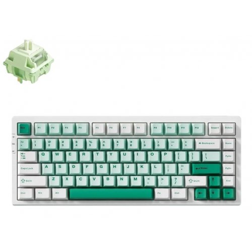Клавиатура MCHOSE G75 Pro RGB Mechanical Matcha Latte Switch V2 Wireless (G75-9A-UA) Green купить в Украине: Киев, Днепр, Харьков, Одесса  | Низкая цена, отзывы, характеристики от TELEMART фото