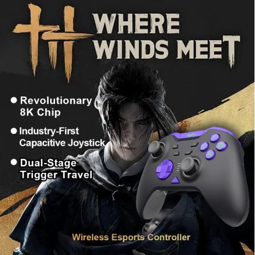 Геймпад PXN P5 8K Wireless (6948052903723) Black/Purple купити в Україні: Київ, Львів, Хмельницький, Тернопіль, Івано-Франківськ | Низька ціна, відгуки, характеристики від TELEMART фото