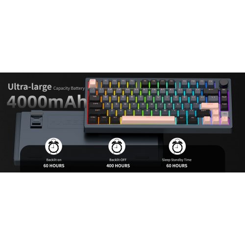 Клавиатура MageGee Light 75 RGB Pink Bear Switch Wireless (6971969728820) Royal Blue купить в Украине: Киев, Днепр, Харьков, Одесса  | Низкая цена, отзывы, характеристики от TELEMART фото