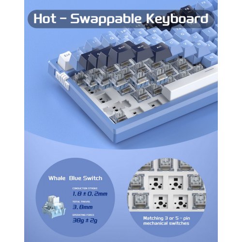 Клавиатура MageGee SKY 81 RGB Blue Whale Switch (6971969727922) Prussian Blue купить в Украине: Киев, Днепр, Харьков, Одесса  | Низкая цена, отзывы, характеристики от TELEMART фото