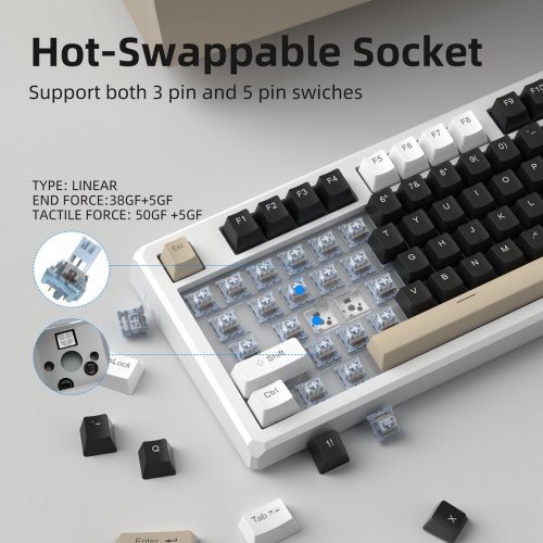 Клавиатура MageGee SKY 87 RGB Blue Whale Switch Wireless (6971969728493) Mocha Brown купить в Украине: Киев, Днепр, Харьков, Одесса  | Низкая цена, отзывы, характеристики от TELEMART фото