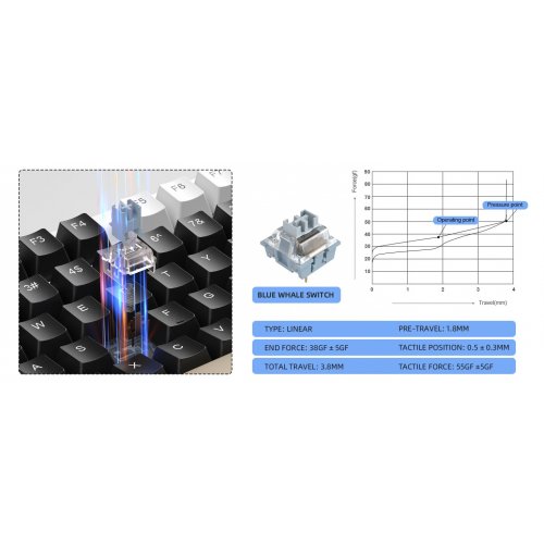 Клавиатура MageGee SKY 87 RGB Blue Whale Switch Wireless (6971969728493) Mocha Brown купить в Украине: Киев, Днепр, Харьков, Одесса  | Низкая цена, отзывы, характеристики от TELEMART фото