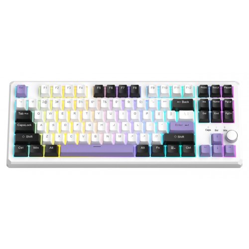 Клавиатура MageGee SKY 87 RGB Ivory White Switch Wireless (6971969728486) Ice Purple купить в Украине: Киев, Днепр, Харьков, Одесса  | Низкая цена, отзывы, характеристики от TELEMART фото