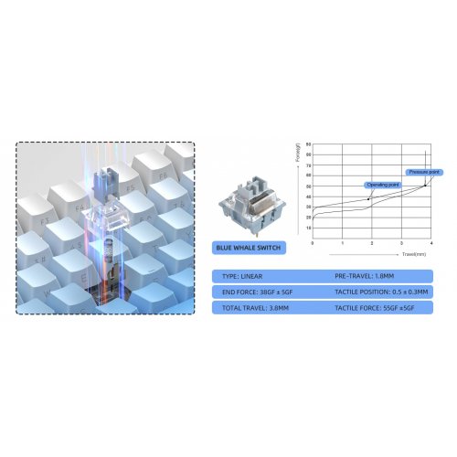 Клавиатура MageGee SKY 87 RGB Blue Whale Switch Wireless (6971969728509) White/Blue Gradient купить в Украине: Киев, Днепр, Харьков, Одесса  | Низкая цена, отзывы, характеристики от TELEMART фото