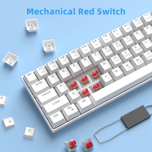 Клавиатура MageGee MK-Star 61 LED Red Switch (6971969720978) White купить в Украине: Киев, Днепр, Харьков, Одесса  | Низкая цена, отзывы, характеристики от TELEMART фото