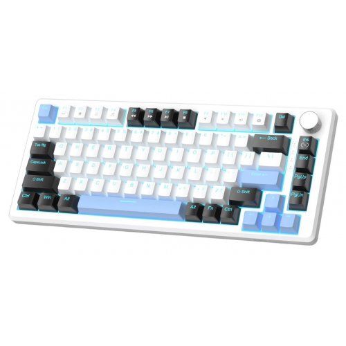 Клавиатура MageGee MK-Star 75 Brown Switch (6971969727953) Black/White/Blue купить в Украине: Киев, Днепр, Харьков, Одесса  | Низкая цена, отзывы, характеристики от TELEMART фото