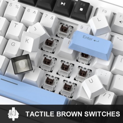Клавиатура MageGee MK-Star 75 Brown Switch (6971969727953) Black/White/Blue купить в Украине: Киев, Днепр, Харьков, Одесса  | Низкая цена, отзывы, характеристики от TELEMART фото