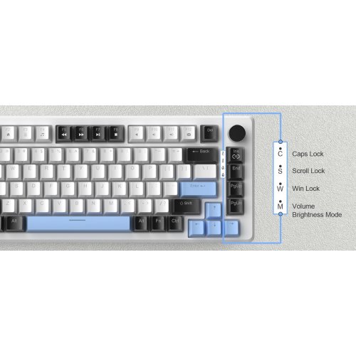 Клавиатура MageGee MK-Star 75 Brown Switch (6971969727953) Black/White/Blue купить в Украине: Киев, Днепр, Харьков, Одесса  | Низкая цена, отзывы, характеристики от TELEMART фото