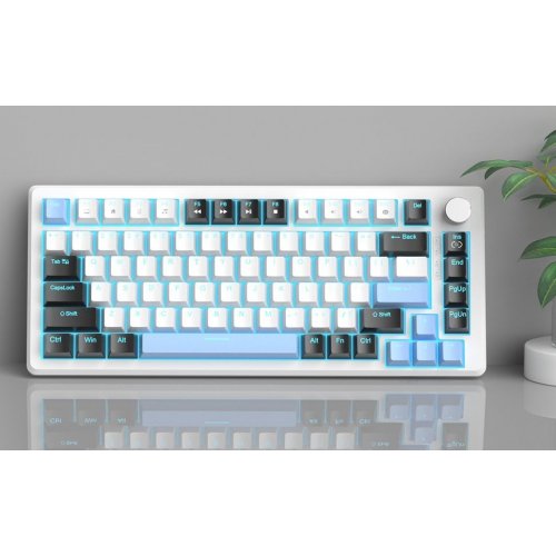 Клавиатура MageGee MK-Star 75 Brown Switch (6971969727953) Black/White/Blue купить в Украине: Киев, Днепр, Харьков, Одесса  | Низкая цена, отзывы, характеристики от TELEMART фото