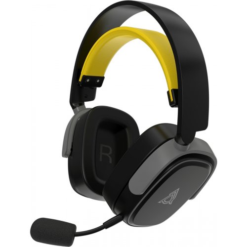 Навушники Ajazz AHM09 MAX (AHM09-MAX-BGY) Black/Yellow купити в Україні: Київ, Львів, Хмельницький, Тернопіль, Івано-Франківськ | Низька ціна, відгуки, характеристики від TELEMART фото