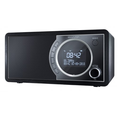 Радіоприймач Sharp DR-450 Black купити в Україні: Київ, Львів, Хмельницький, Тернопіль, Івано-Франківськ | Низька ціна, відгуки, характеристики від TELEMART фото