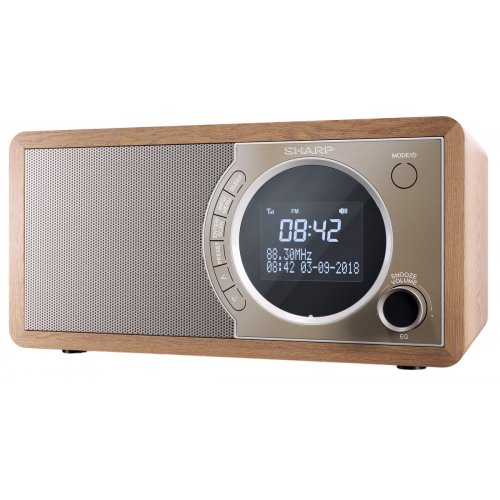 Радіоприймач Sharp DR-450 Brown купити в Україні: Київ, Львів, Хмельницький, Тернопіль, Івано-Франківськ | Низька ціна, відгуки, характеристики від TELEMART фото