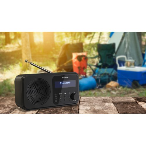 Радіоприймач Sharp DR-P420 Black купити в Україні: Київ, Львів, Хмельницький, Тернопіль, Івано-Франківськ | Низька ціна, відгуки, характеристики від TELEMART фото