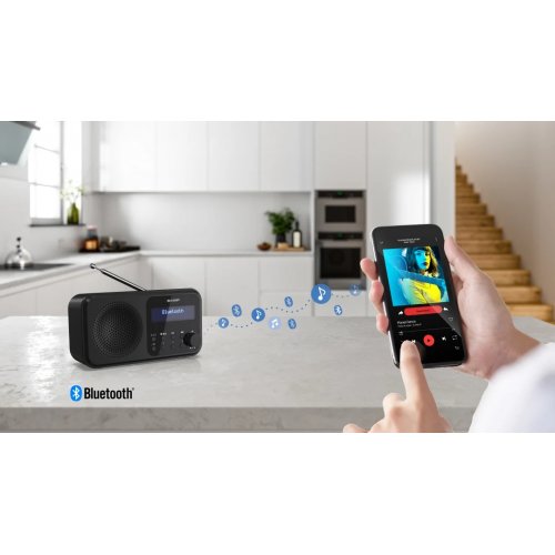 Радіоприймач Sharp DR-P420 Black купити в Україні: Київ, Львів, Хмельницький, Тернопіль, Івано-Франківськ | Низька ціна, відгуки, характеристики від TELEMART фото