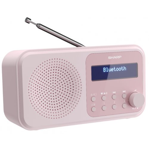 Радіоприймач Sharp DR-P420 Blossom Pink купити в Україні: Київ, Львів, Хмельницький, Тернопіль, Івано-Франківськ | Низька ціна, відгуки, характеристики від TELEMART фото