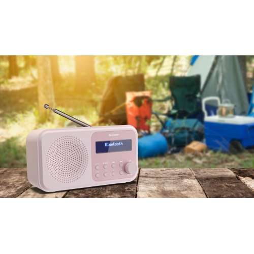 Радіоприймач Sharp DR-P420 Blossom Pink купити в Україні: Київ, Львів, Хмельницький, Тернопіль, Івано-Франківськ | Низька ціна, відгуки, характеристики від TELEMART фото
