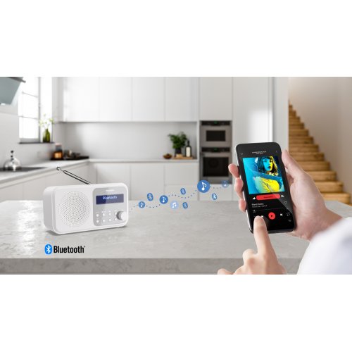 Радіоприймач Sharp DR-P420 Snowy White купити в Україні: Київ, Львів, Хмельницький, Тернопіль, Івано-Франківськ | Низька ціна, відгуки, характеристики від TELEMART фото