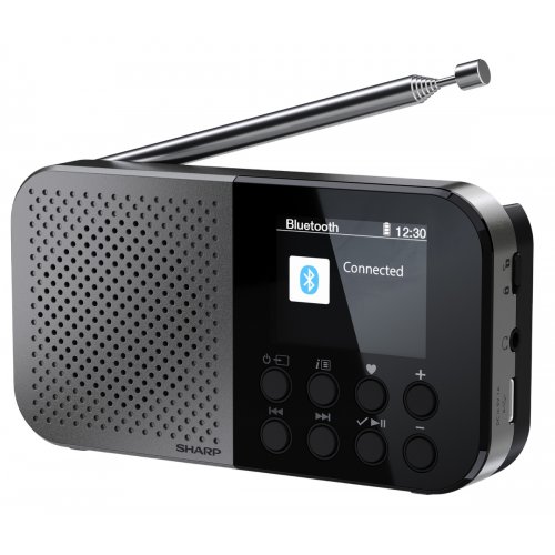 Радіоприймач Sharp DR-P520 Storm Grey купити в Україні: Київ, Львів, Хмельницький, Тернопіль, Івано-Франківськ | Низька ціна, відгуки, характеристики від TELEMART фото