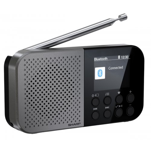 Радіоприймач Sharp DR-P520 Storm Grey купити в Україні: Київ, Львів, Хмельницький, Тернопіль, Івано-Франківськ | Низька ціна, відгуки, характеристики від TELEMART фото