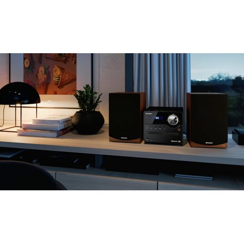 Акустична система Sharp XL-B512 Brown купити в Україні: Київ, Львів, Хмельницький, Тернопіль, Івано-Франківськ | Низька ціна, відгуки, характеристики від TELEMART фото