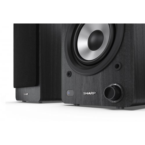 Акустична система Sharp CP-SS30 Black купити в Україні: Київ, Львів, Хмельницький, Тернопіль, Івано-Франківськ | Низька ціна, відгуки, характеристики від TELEMART фото