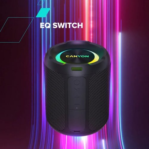 Портативная акустика Canyon OnMove 11 (CNE-CBTSP11) Black купить в Украине: Киев, Днепр, Харьков, Одесса  | Низкая цена, отзывы, характеристики от TELEMART фото