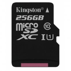 Карта пам'яті Kingston microSDXC 256GB Class 10 UHS-I (без адаптера) (SDCS/256GBSP)
