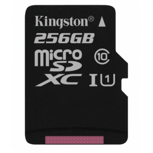 Купити Карта пам'яті Kingston microSDXC 256GB Class 10 UHS-I (без адаптера) (SDCS/256GBSP) - ціна в Києві, Львові, Вінниці, Хмельницькому, Франківську, Україні | інтернет-магазин TELEMART.UA фото