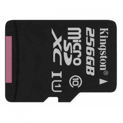 Купити Карта пам'яті Kingston microSDXC 256GB Class 10 UHS-I (без адаптера) (SDCS/256GBSP) - ціна в Києві, Львові, Вінниці, Хмельницькому, Франківську, Україні | інтернет-магазин TELEMART.UA фото