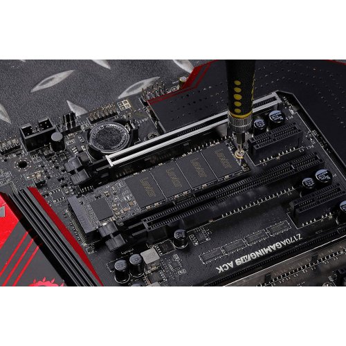 Уцінка ssd-диск Lexar NM620 3D NAND TLC 256GB M.2 (2280 PCI-E) NVMe x4 (LNM620X256G-RNNNG) (Розкрита упаковка, 850807) купити в Україні: Київ, Львів, Хмельницький, Тернопіль, Івано-Франківськ | Перевірка сумісності, низька ціна, відгуки, характеристики від TELEMART фото