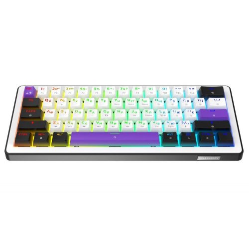 Клавіатура HATOR HK60 Hellyberry Mechanical Linear Black/White купити в Україні: Київ, Львів, Хмельницький, Тернопіль, Івано-Франківськ | Низька ціна, відгуки, характеристики від TELEMART фото