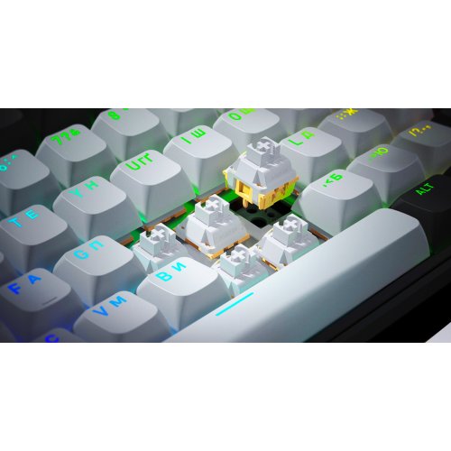 Клавіатура HATOR Skyfall 65 Pro Aurum Vanila Silent Wireless (HTK4160UA) Grey/Black купити в Україні: Київ, Львів, Хмельницький, Тернопіль, Івано-Франківськ | Низька ціна, відгуки, характеристики від TELEMART фото